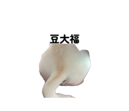 845160800