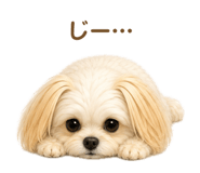 845160816