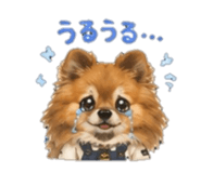 845161047