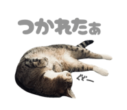 845161922