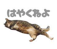 845162005