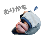 845162021