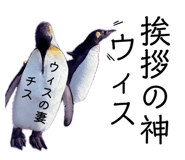 845162100