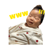 845162331