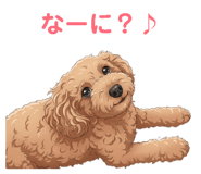 845162482