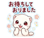 845162507