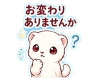 845162527