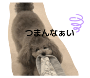 845162762