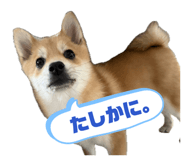 845162979