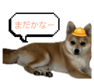 845162981