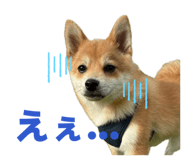 845162997