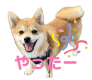 845162999