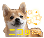 845163002