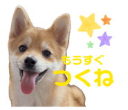 845163005