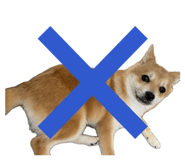 845163007