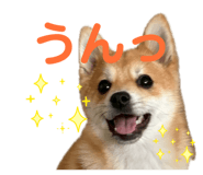 845163010