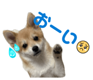 845163012