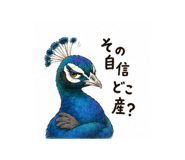 845163331