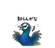 845163341