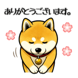 845163449
