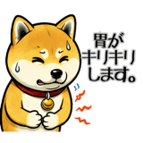 845163452