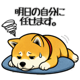 845163460