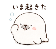 845164172