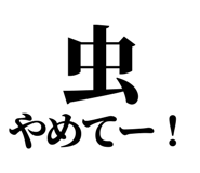 845164386