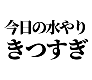 845164458