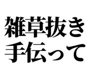 845164459