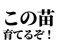 845164461