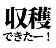 845164467