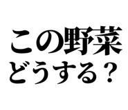 845164469