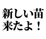 845164475