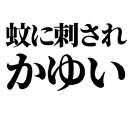 845164491