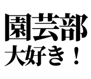 845164496