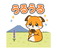 845164843