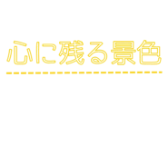 845165955