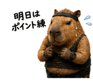845166004