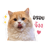 845167100