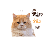 845167103