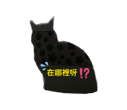 845168504