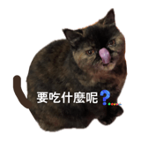 845168507