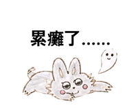 845169443