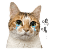 845169544