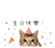 845169554