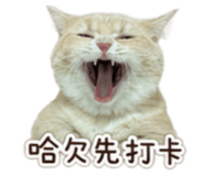845169930