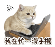 845169942