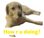 845170447