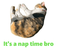 845170457